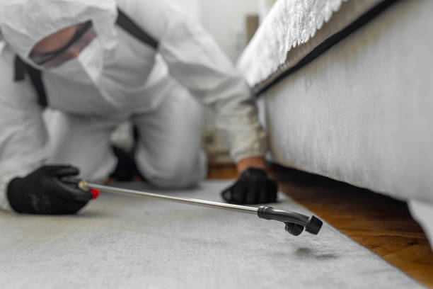 Professional Termite Control technician working in Ferry Pass, FL