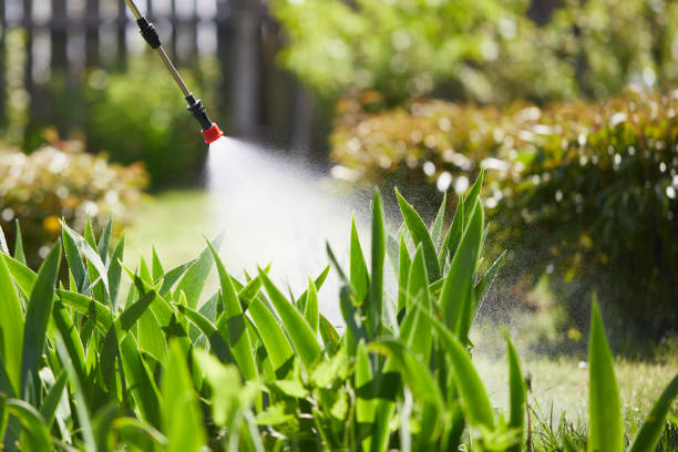24/7 Emergency Termite Control experts in Ferry Pass, FL