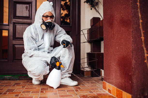 Reliable Termite Control contractor in Ferry Pass, FL by Nex Pest Control