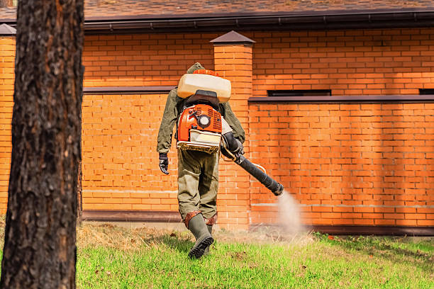 Top rated local Termite Control specialists in Ferry Pass, FL